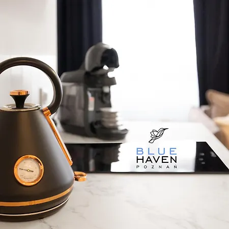 And Blue Haven * 포즈난